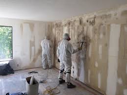 Dehumidification Services in Oak Point, TX